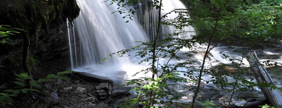 短信在线云呼轰炸